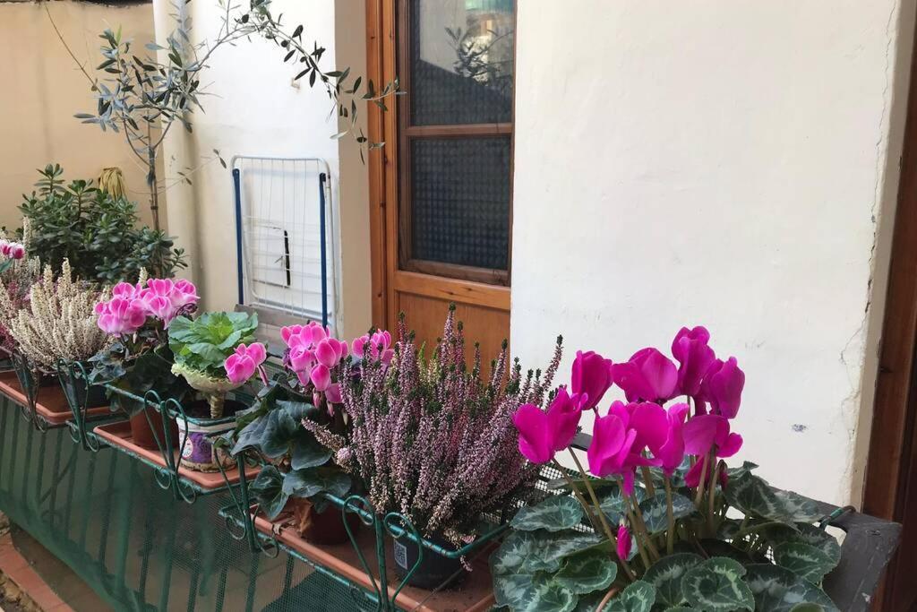 Deluxe Apartment In The Centre Of Florence Buitenkant foto